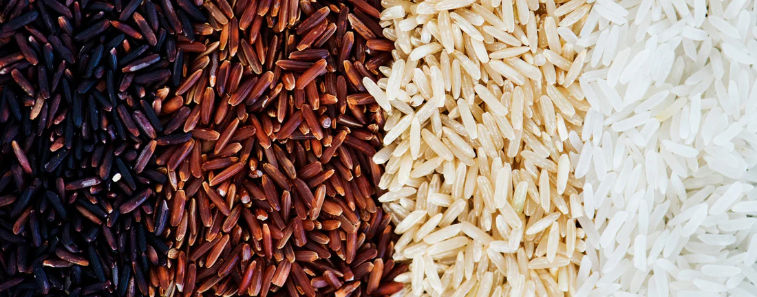 10 Top Rice Exporting Countries and Trade Analysis